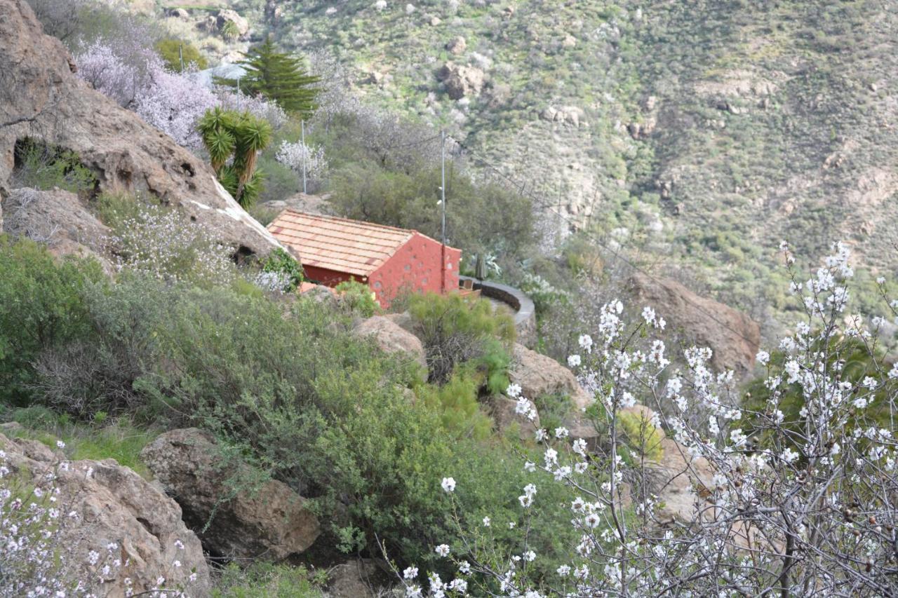 Casa Cueva El Pedregal Tejeda Villa Kültér fotó