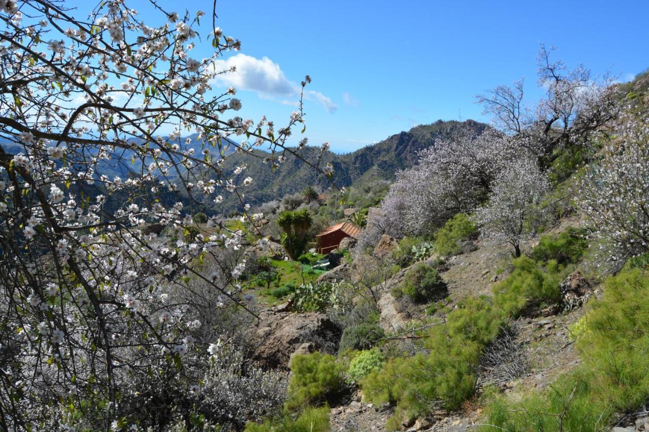 Casa Cueva El Pedregal Tejeda Villa Kültér fotó