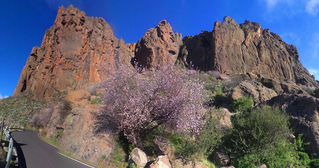 Casa Cueva El Pedregal Tejeda Villa Kültér fotó